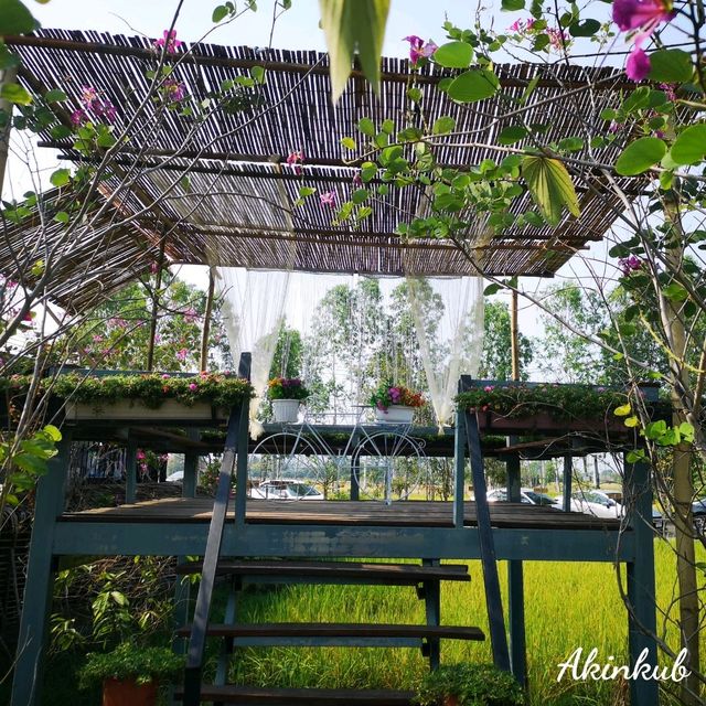 คาเฟ่กลางทุ่งนา นครนายก