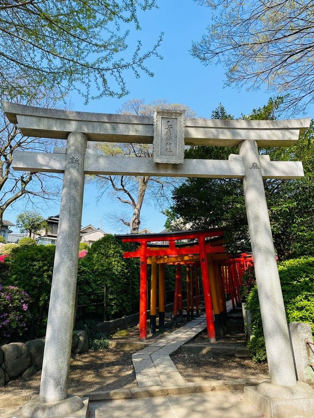 【東京/根津神社】文京つつじまつり