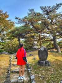 강릉 구석구석 드라이브하기 좋은 코스🍁