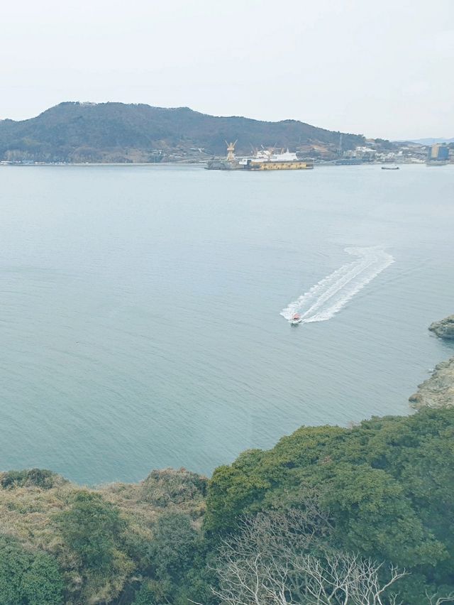 동백섬 오동도 💐