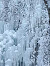 冬の風物詩－氷瀑