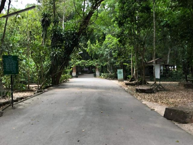 Suan Mokkh -  Dharma Her­mit­age place in 🇹🇭