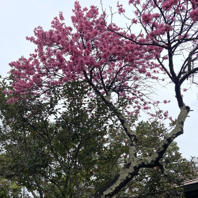 長野市的名勝善光寺及城山公園