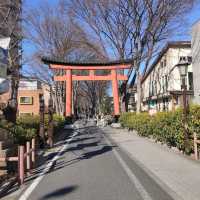 歴史ある都会のオアシス 大宮氷川神社