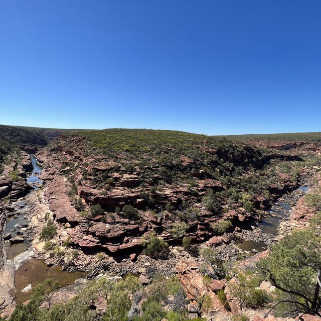 See Nature’s Hidden Gifts in Kalbarri, WA