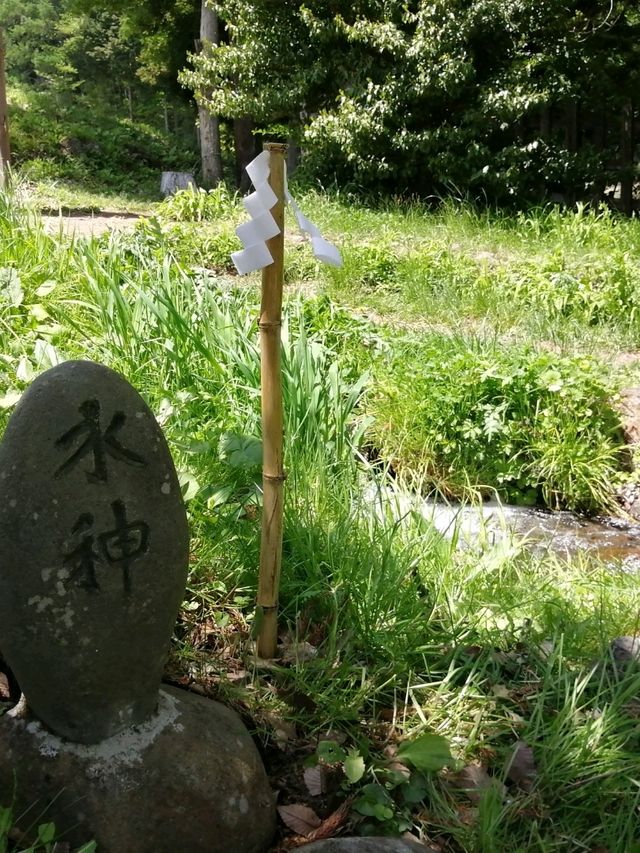 【諏訪大社】御柱祭の御神木は裏側を含めて圧巻