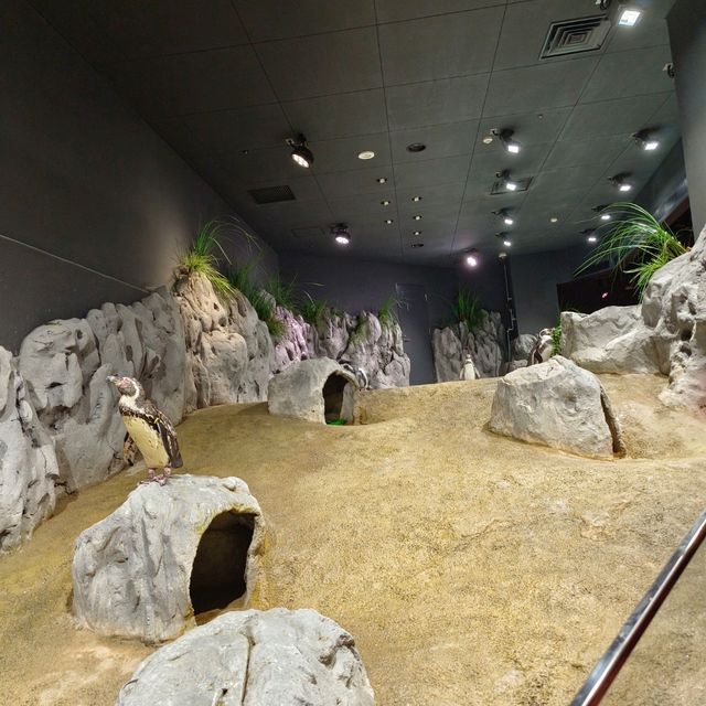 沖繩景點DMM_Kariyushi水族館 