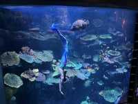 SEA LIFE Bangkok Ocean World