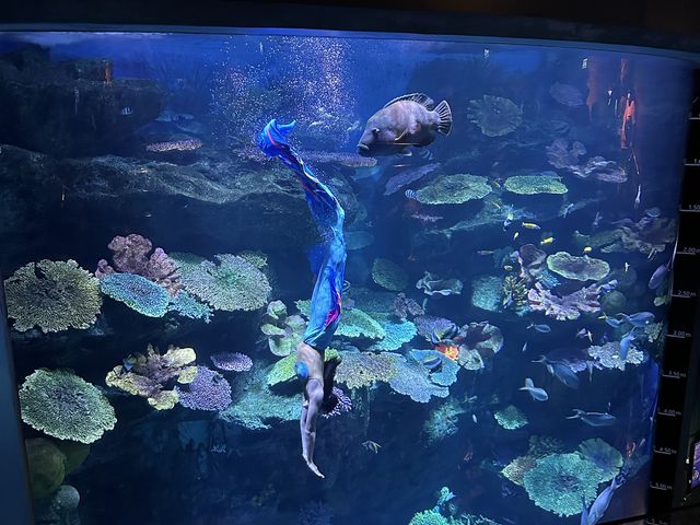 SEA LIFE Bangkok Ocean World