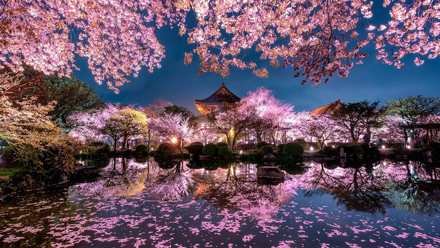 Kyoto – Sacred And Serene