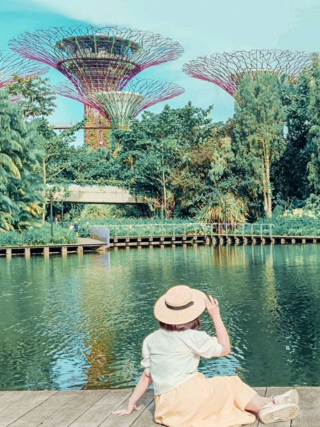 Cloud Forest at Garden By The Bay