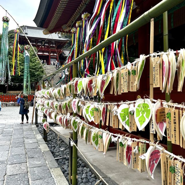 Exploring Kamakura engakuji 