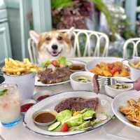 朗豪坊寵物友善餐廳🐶田園風cafe 