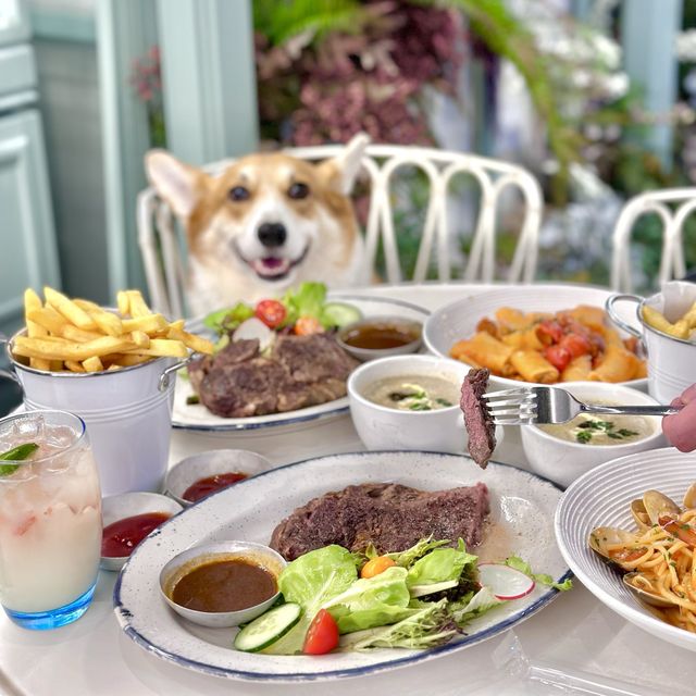 朗豪坊寵物友善餐廳🐶田園風cafe 