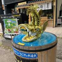 これが、金シャチ、名古屋城だ！！