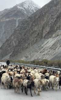 Wonder flight to Gilgit Baltistan