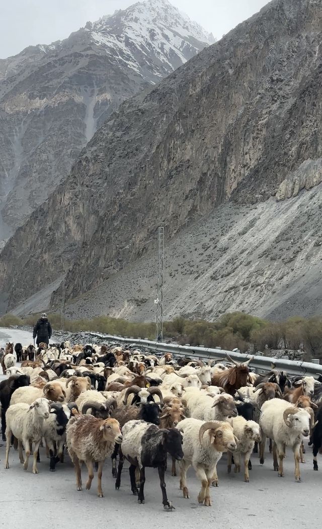 Wonder flight to Gilgit Baltistan
