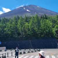 Catch A Glipse Of Mount Fuji