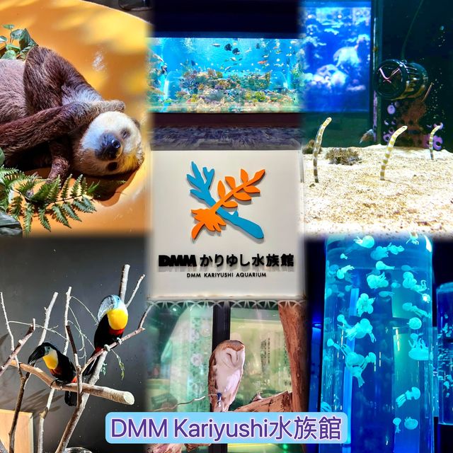 DMM Kariyushi水族館-將科技融入水族館內