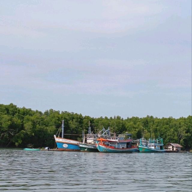 นั่งเรือ ชมธรรมชาติ ที่...