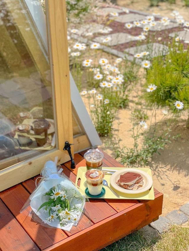 현시각 청주에서 제일 예쁜 카페🌼🤍