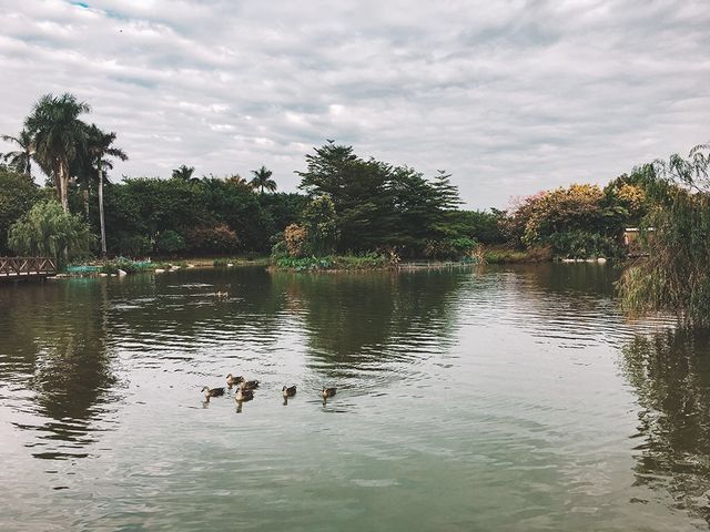 遊廣州📍環遊海珠湖