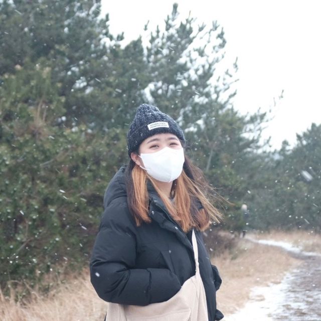 눈이 오면 더욱 아름다운 제주 아부오름 💚