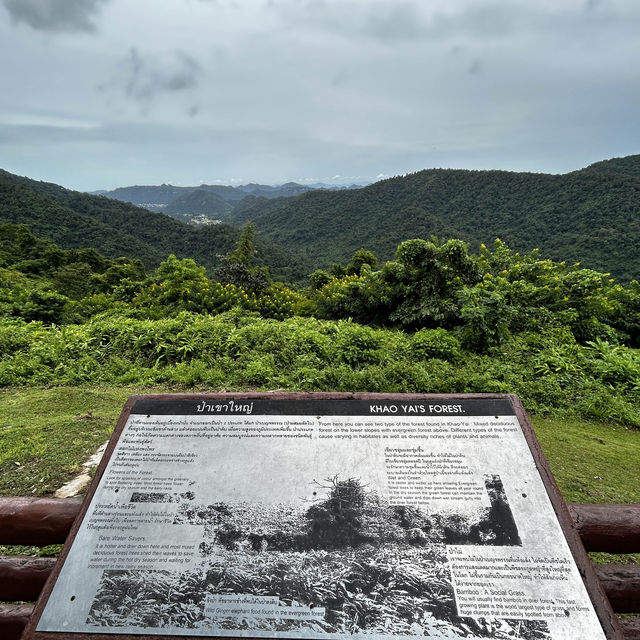 Nature Healing at 1st Thailand National Park