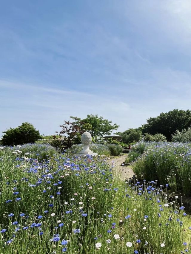 河畔的天堂！多摩川河川健康公園的清涼冒險！🌊🌳🌼