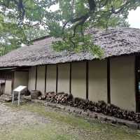 時光穿梭！鄉土之森博物館感受懷舊風情！🏞️🏚️🌸