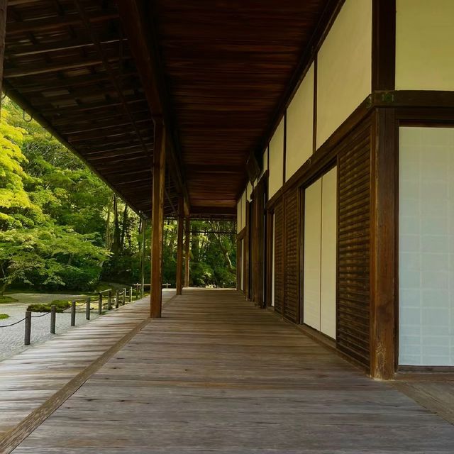 京都南禪寺🙏🏻禪修之旅中的和諧花園 🍵🌸