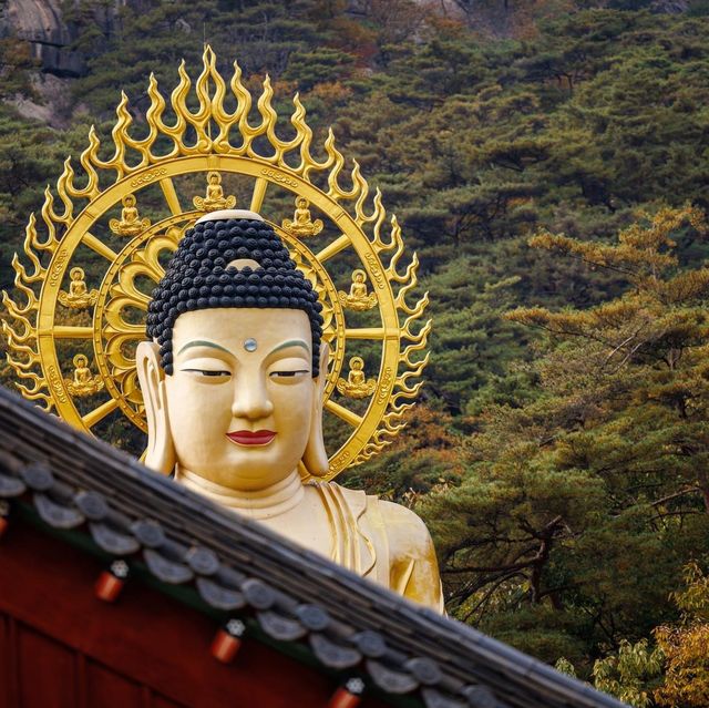 Beautiful Autumn View Of Beopjusa Temple 