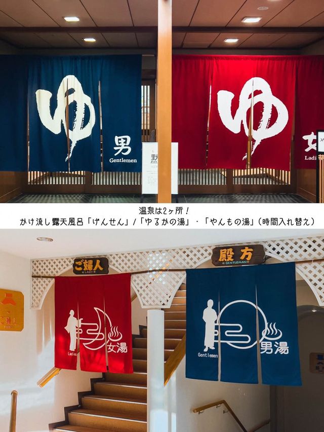 【伊東】露天風呂・露天足湯付き客室もあり♨️全室オーシャンビューの温泉宿