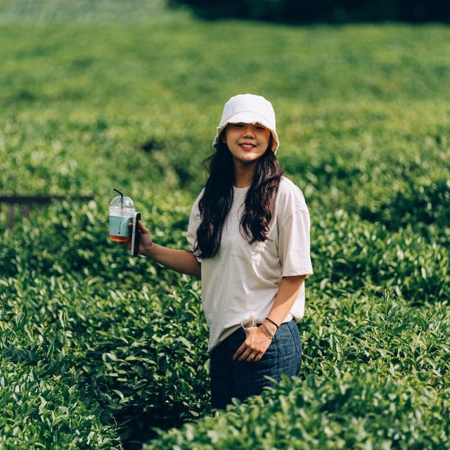 겨울에 기록하는 여름방학