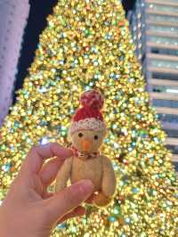 명동 대형 크리스마스 트리🎄