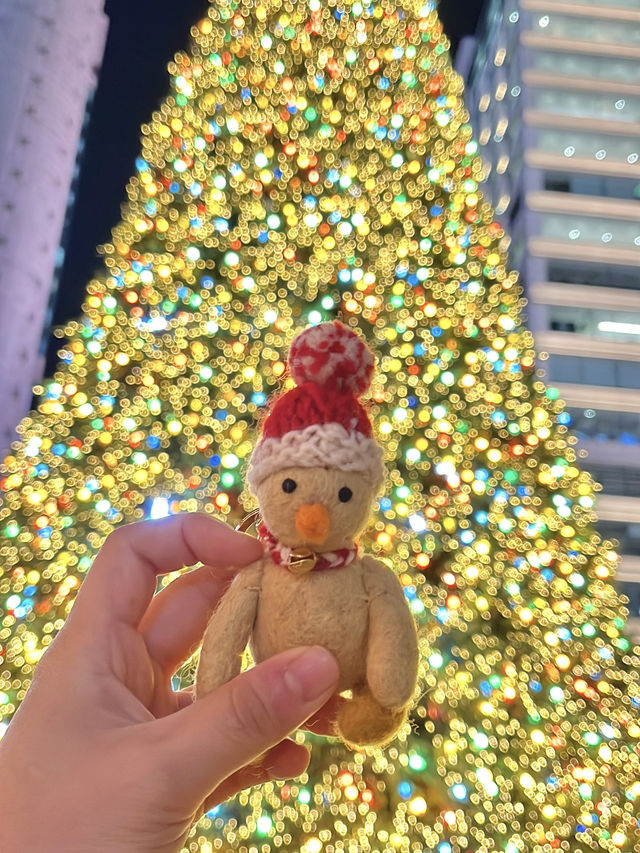 명동 대형 크리스마스 트리🎄
