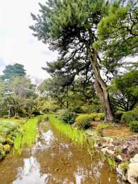 【金沢おでかけスポット】日本三名園　兼六園