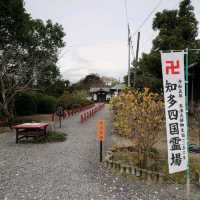 お砂踏みで88の霊場巡り「野間大坊」