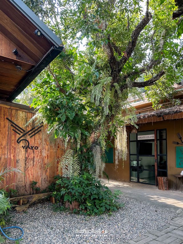 🍹🌿 YAYO coffee & bed ร้านกาแฟมู้ดดี้ที่เชียงราย