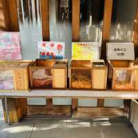 渋谷のど真ん中にある神社 - 金王八幡宮 -