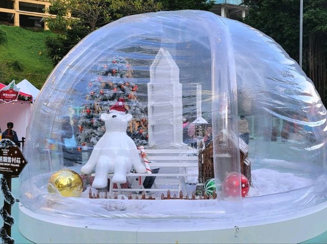 冬日熊出沒@觀塘