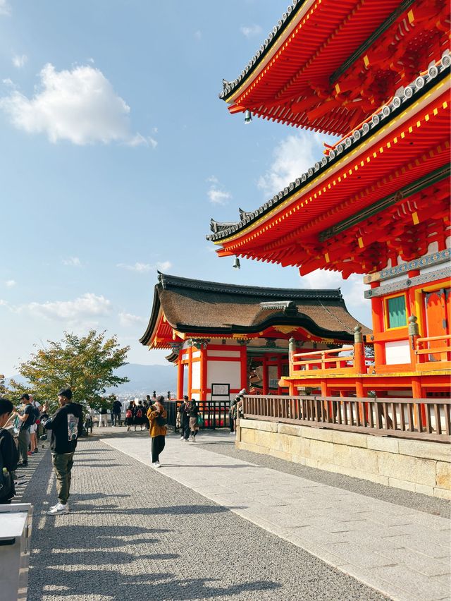 일본의 국보로 지정되어 있는 ‘교토 기요미즈데라’🍂