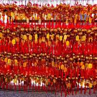 Wong Tai Sin Temple  ฮ่องกง