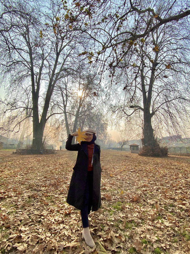 Srinagar autumn kashmir 