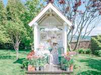 【北海道旭川】まるでジブリの世界？ドラマチックなガーデン🌱💐🌷上野ファーム