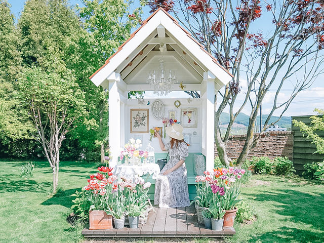 【北海道旭川】まるでジブリの世界？ドラマチックなガーデン🌱💐🌷上野ファーム