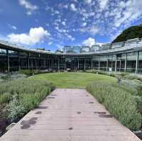 Beautiful Royal Botanic Garden in Sydney