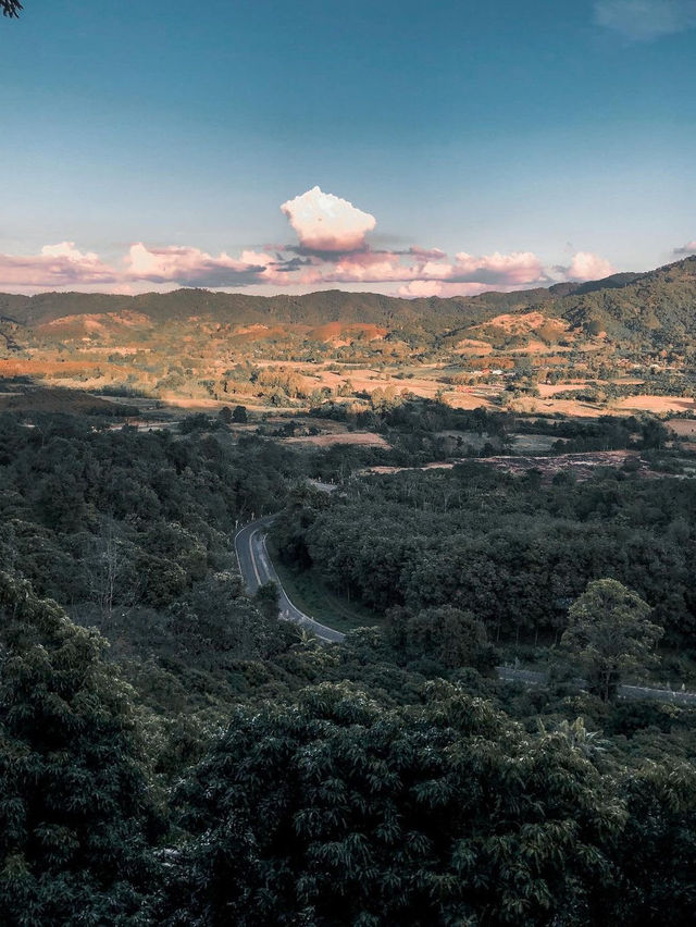 ภูลังกา พะเยา ⛰️🌳