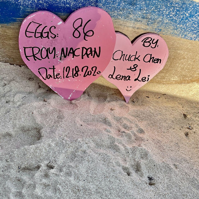 世界最美的海灘🏖️愛尼島