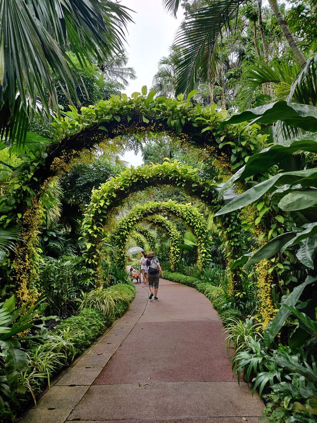 Floral beauty @National Orchid Garden